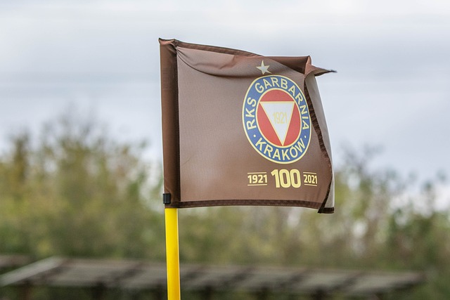 被寄予厚望 被寄予厚望