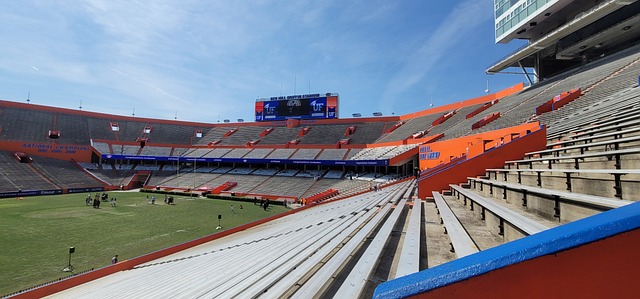 赛场上斩获 赛场上斩获