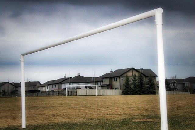 他在本届澳 他在本届澳