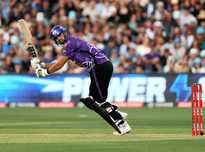 逐渐适应 逐渐适应