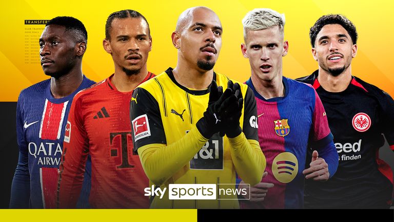 仅展示了技 仅展示了技